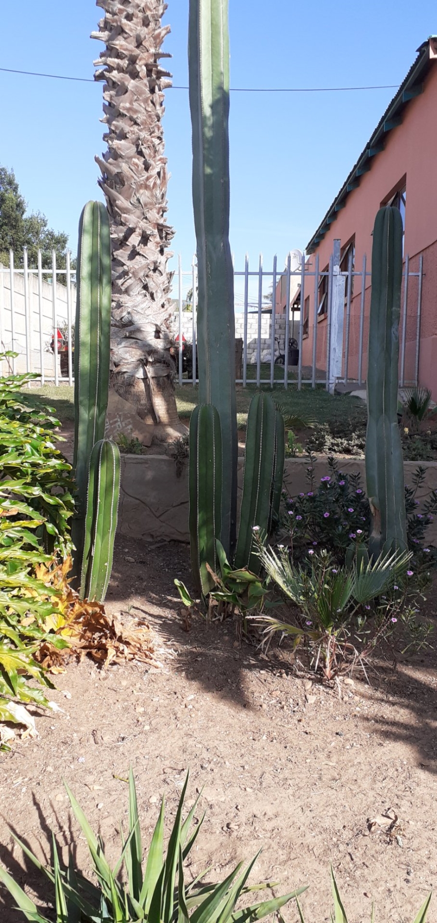 3 Bedroom Property for Sale in Heuwelkruin Eastern Cape